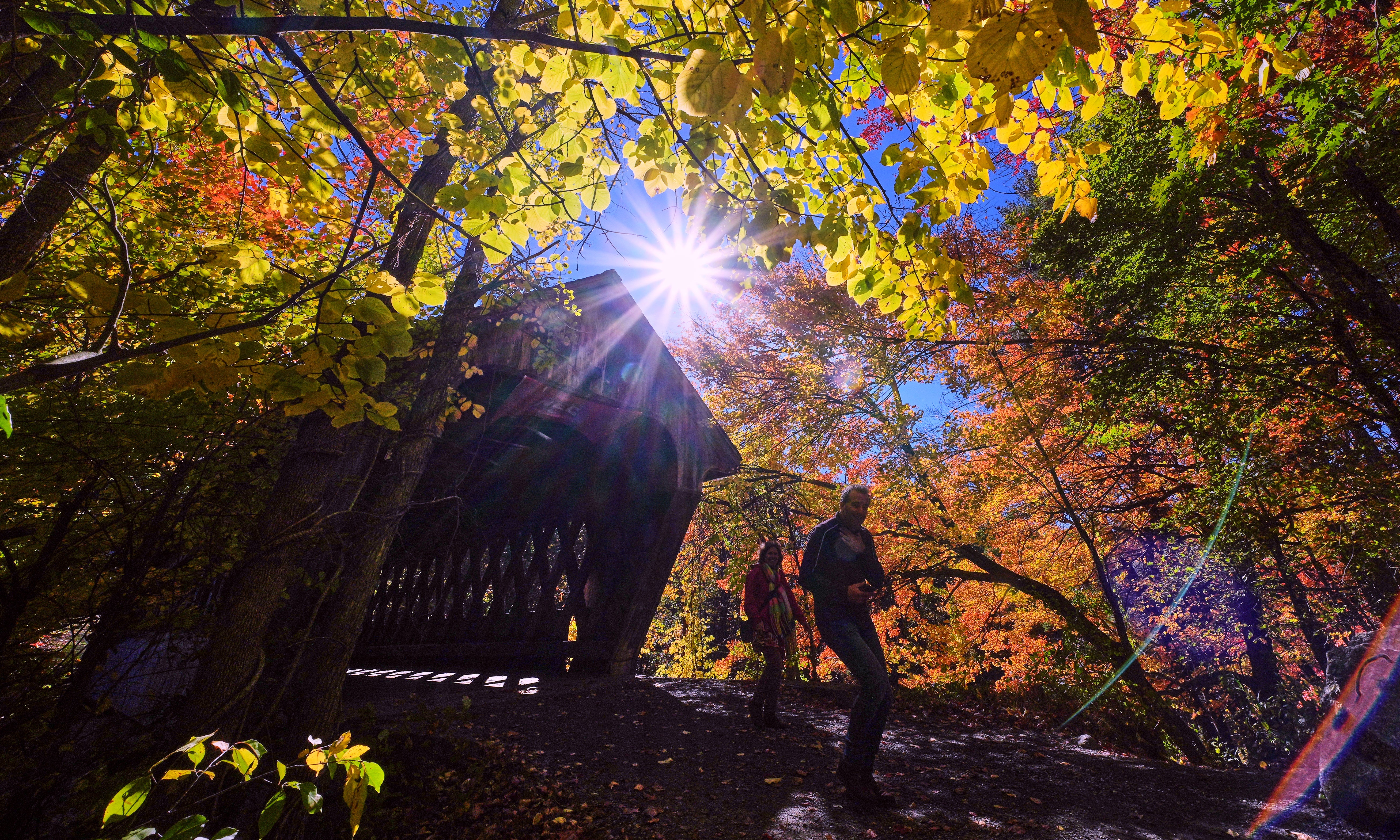 Fall’s brilliant colors paint the American landscape, in photos | The ...