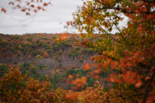 A hiking trail overlooks autumn colors, Tuesday, Oct. 13, 2026, at Interstate State Park in Taylors Falls, Minn.