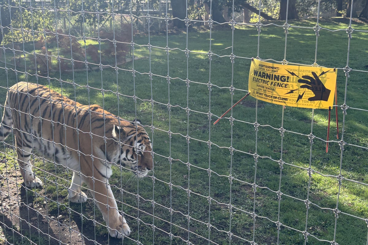 Wild animals killing justified when they attack humans – and when not