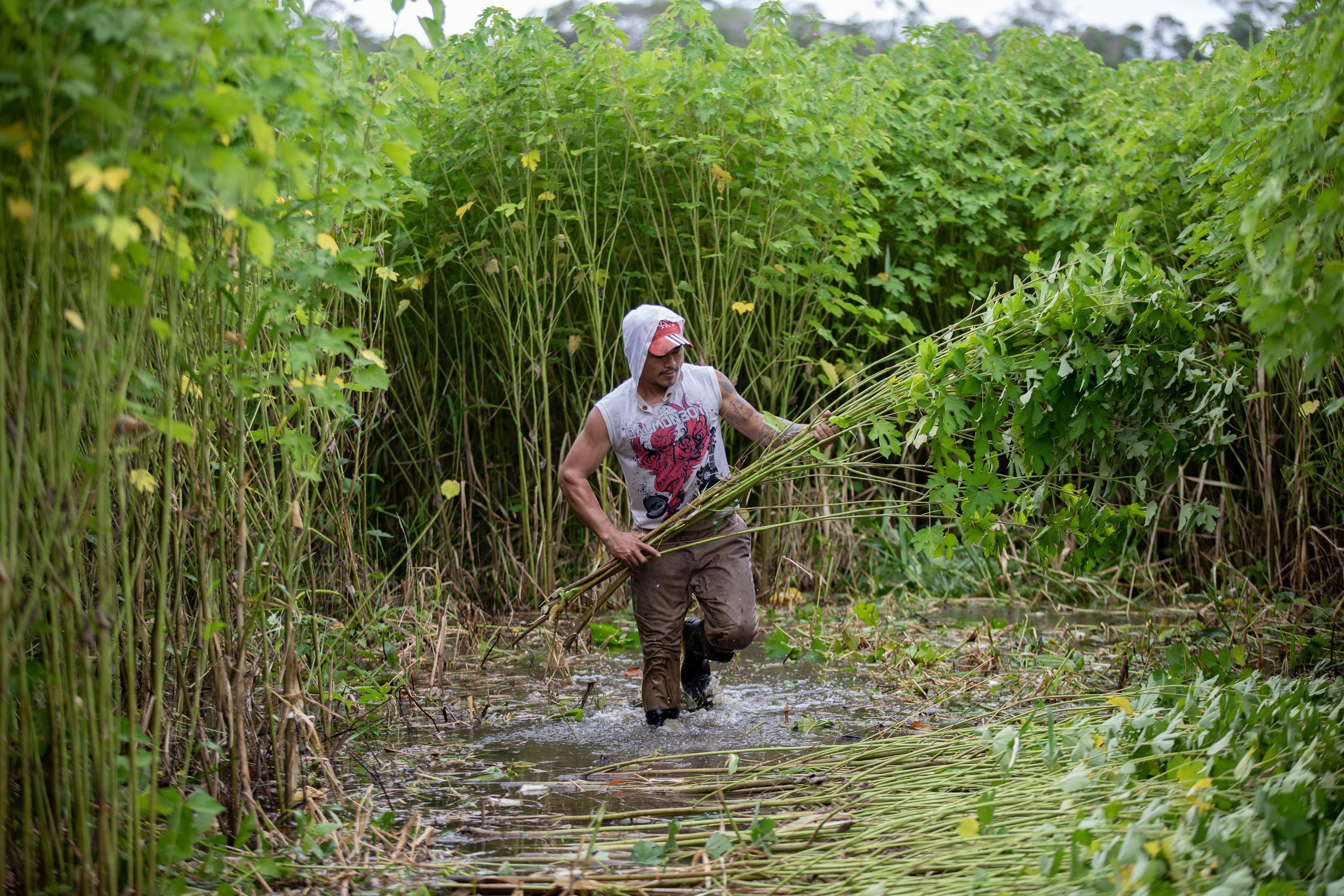 Smallholder farmers around the world need better protection, campaigners say
