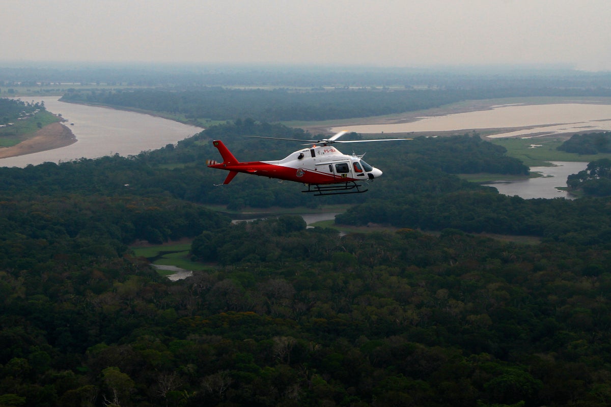 Brazil says Amazon deforestation fell to the lowest level since 1988