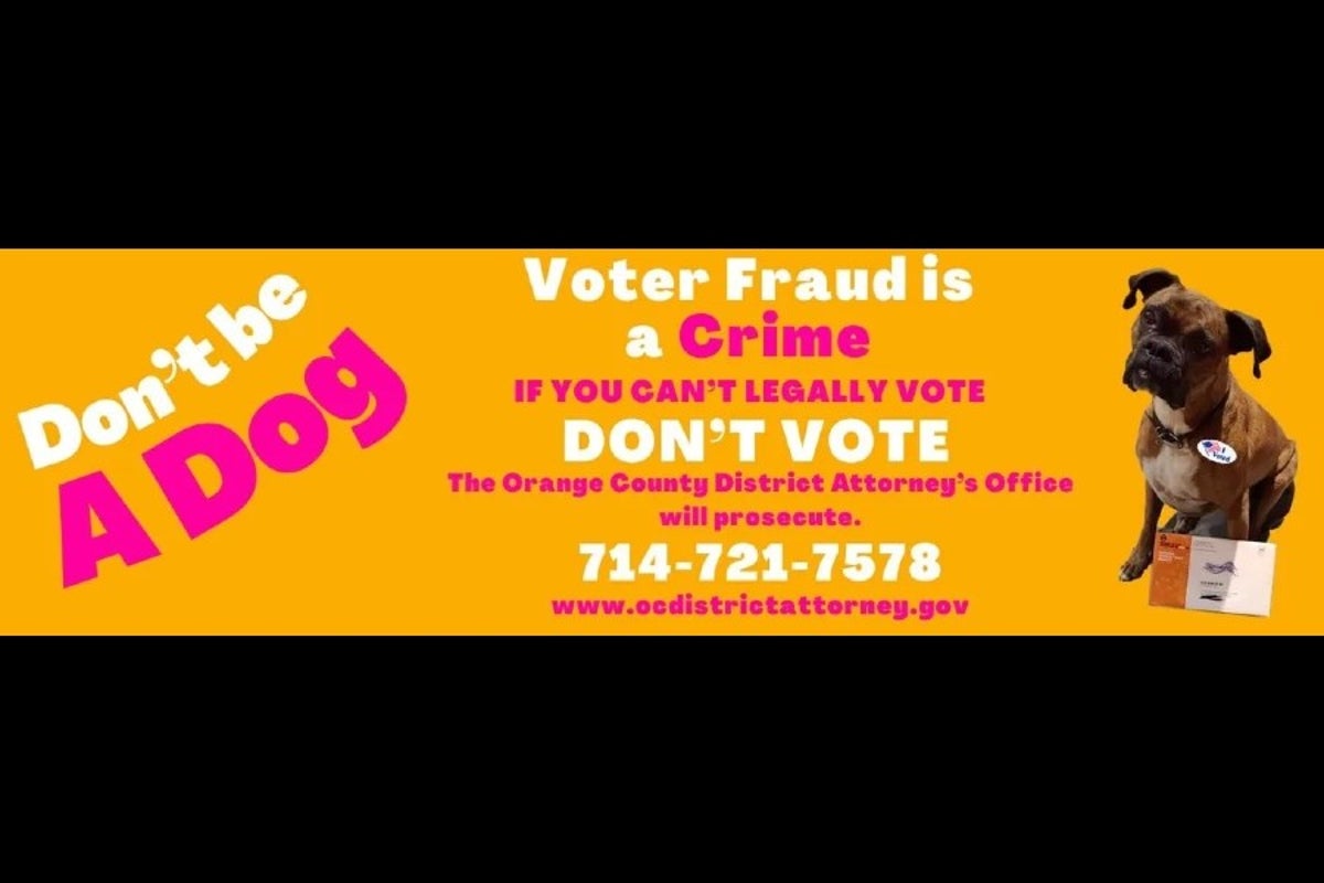 She registered her dog to vote in California. Her punishment is one she will remember ‘furever’