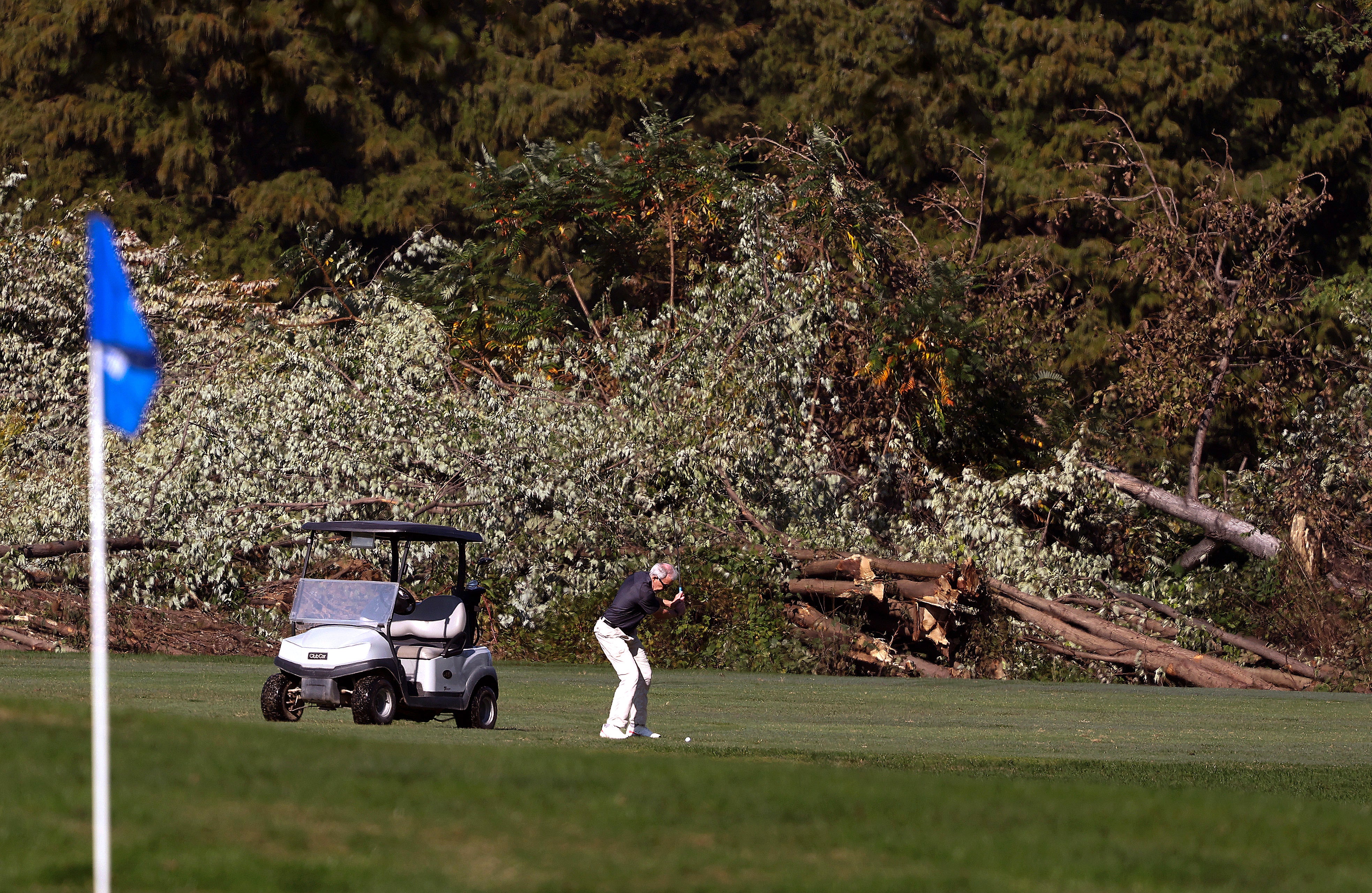 The court rebuked the government for initiating extensive tree removal over a holiday weekend while providing minimal notice to the court and the plaintiffs seeking to stop the makeover.