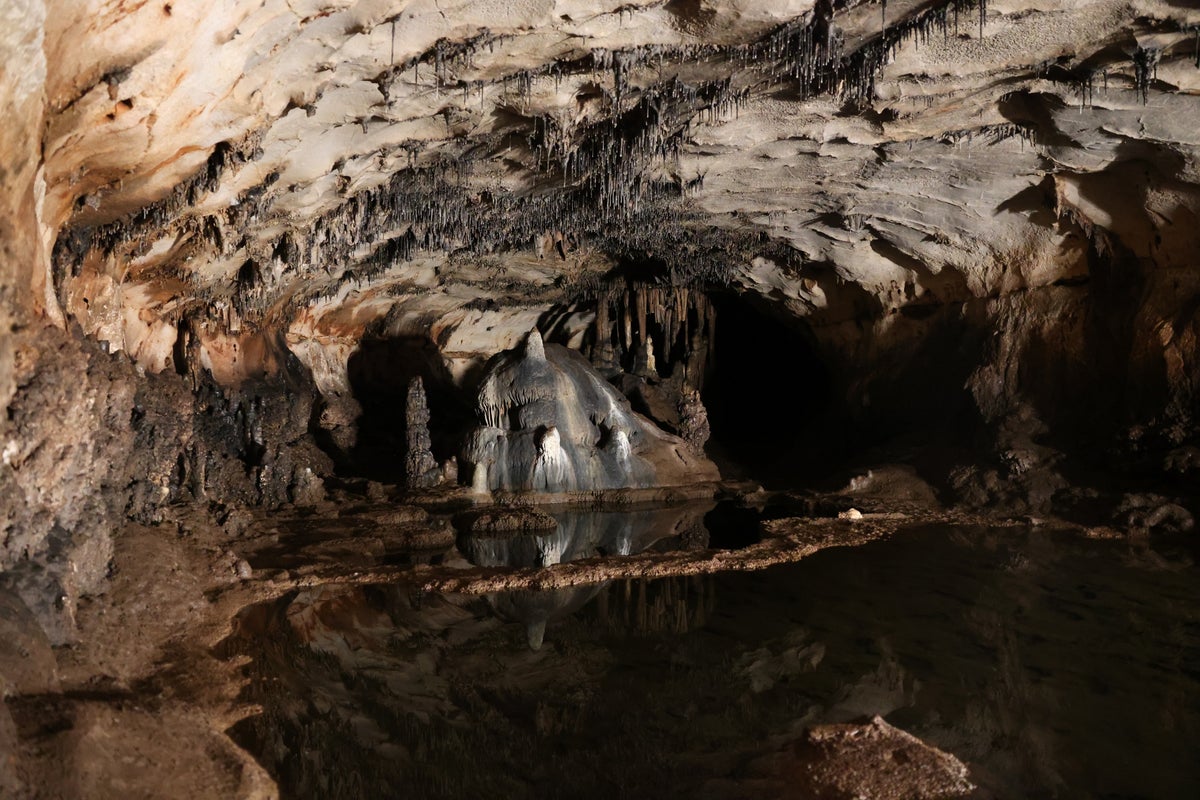 The mysterious Spanish cave becoming one of the world’s most culturally significant places