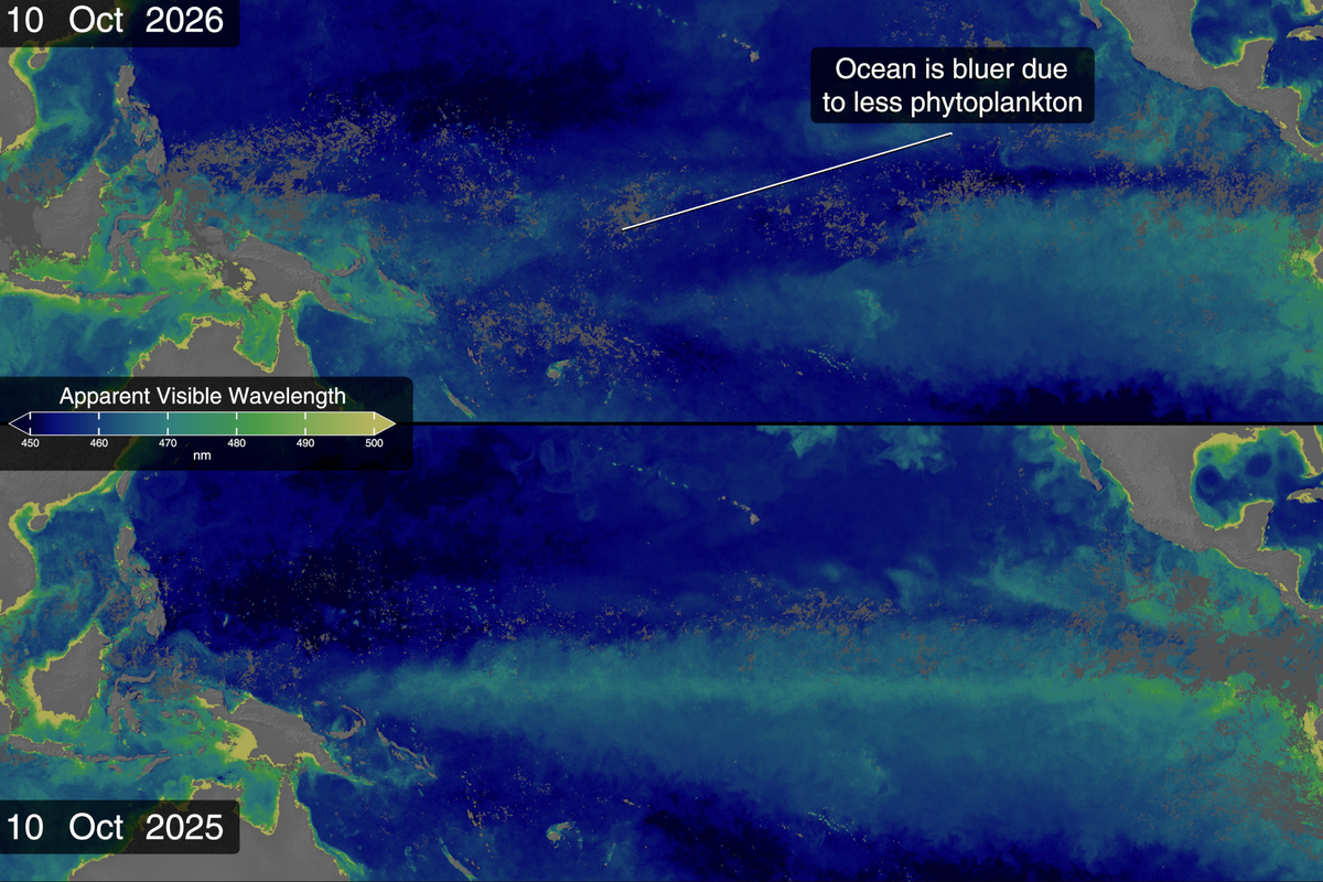 NASA satellite images show Pacific waters turning bluer during Super El Niño