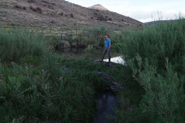 Jackson Ramsey walks over a beaver dam on his property Friday, Aug. 19, 2026, near Rock Springs, Wyo.