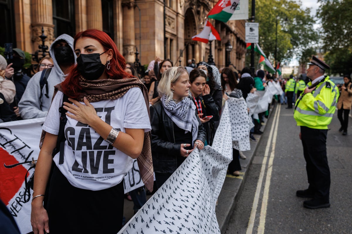 UK universities sanctioning students and academics over emojis as part of Palestine protests crackdown, Amnesty warns