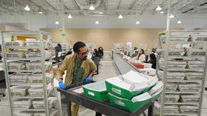 Election 2026 California Noncitizen Voting