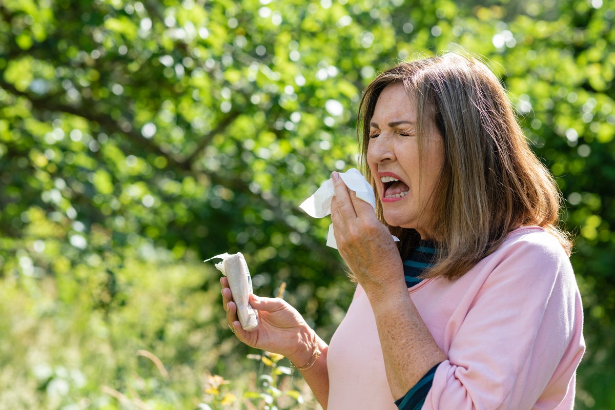 Study Finds Nerve Cells Retain Memories of Allergens in Mice
