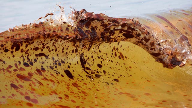 Crude oil from the Deepwater Horizon oil spill washes ashore in Orange Beach in Alabama