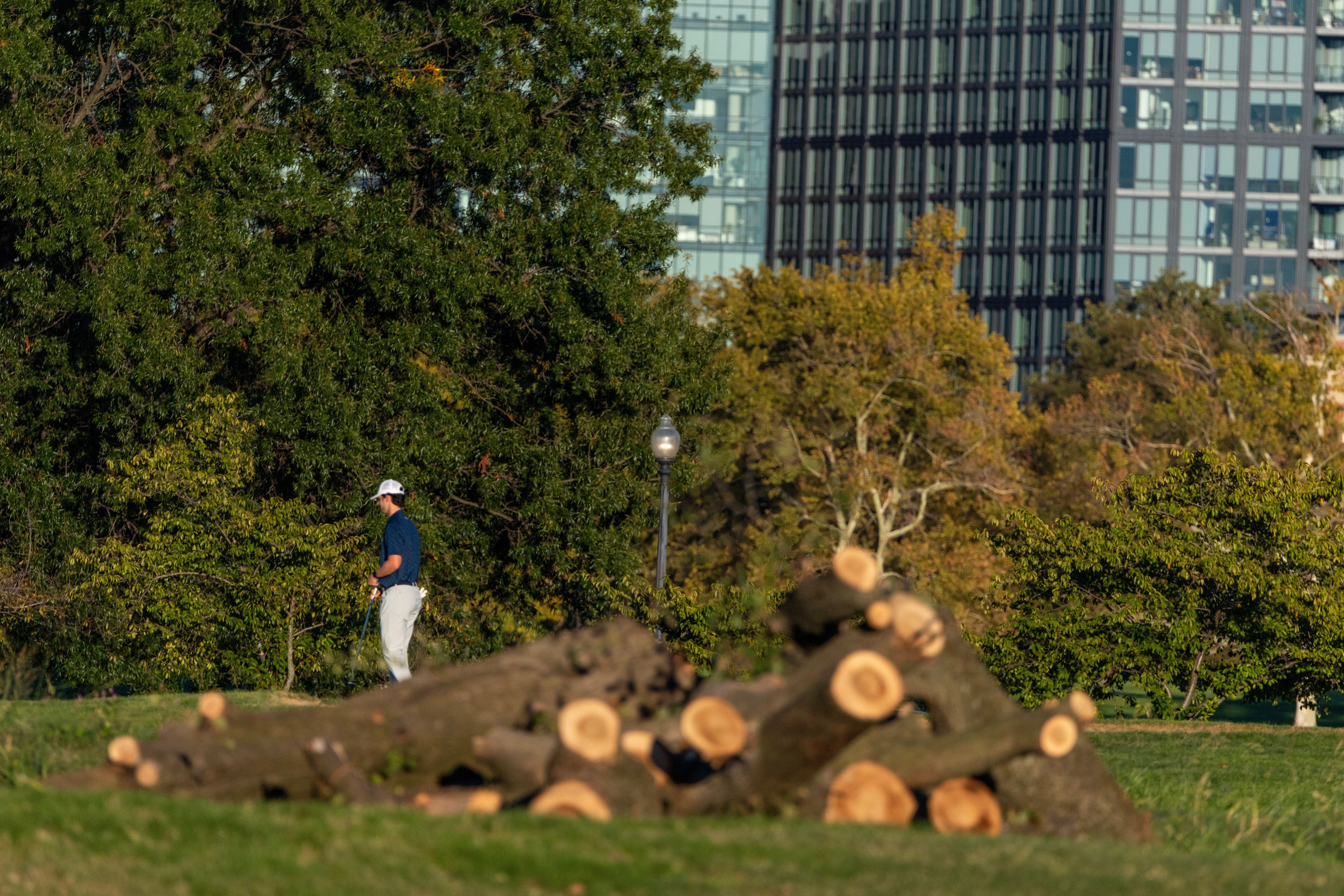 The National Park Service confirmed in a filing they had marked over 500 trees for removal as the Trump administration mulls a renovation for the golf course