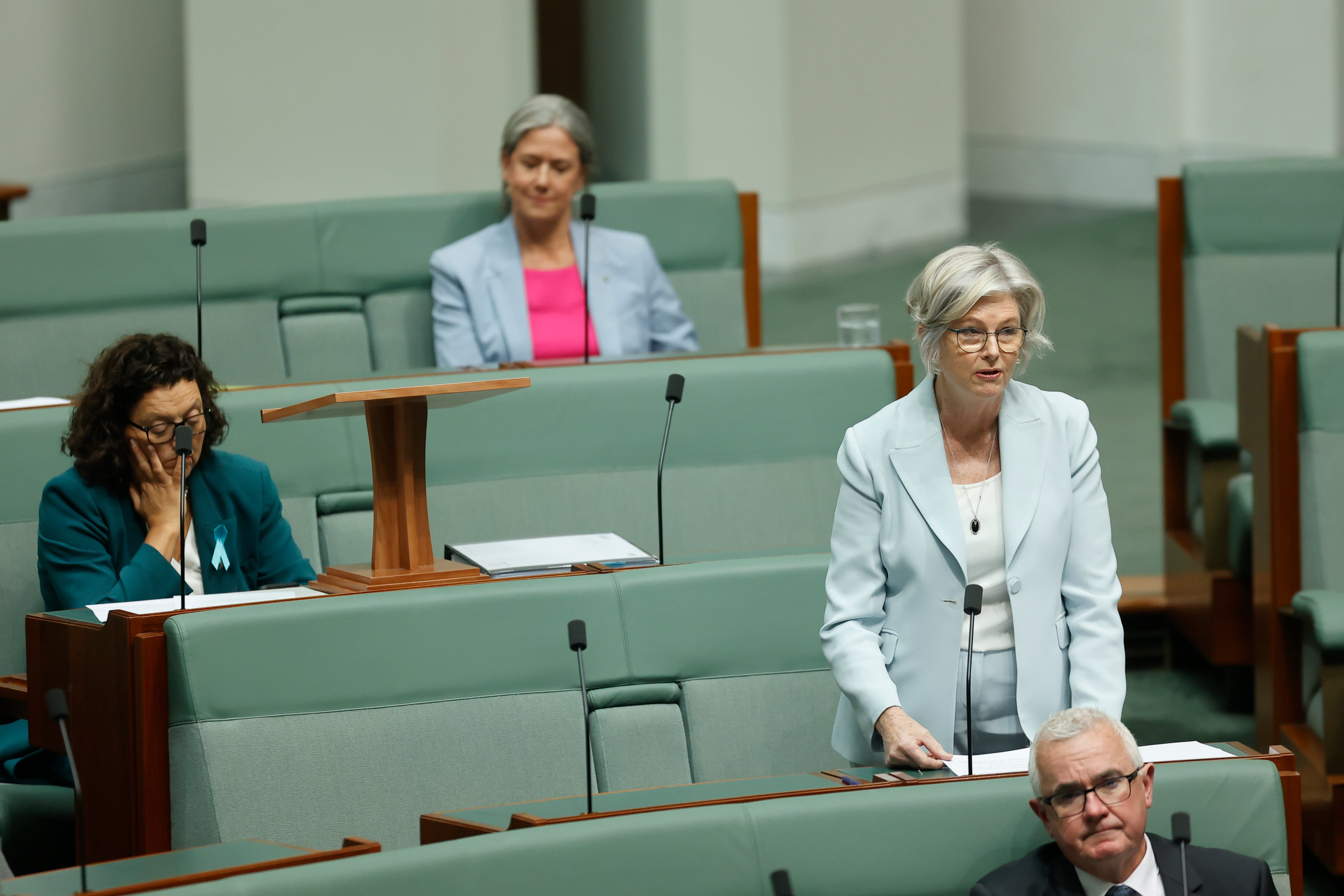 Dr Helen Haines addresses the House of Representatives at Parliament House on February 4