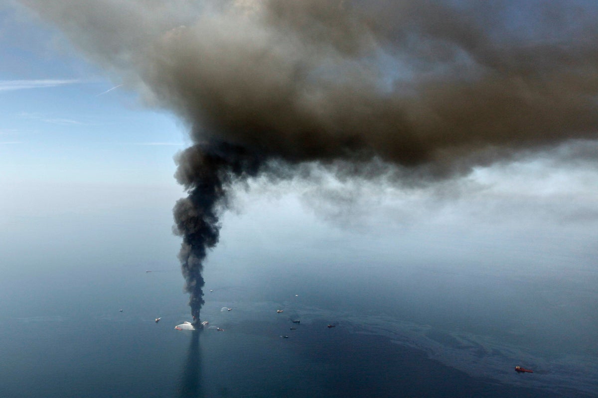 Scientists uncover devastating damage to marine life 16 years after BP oil disaster