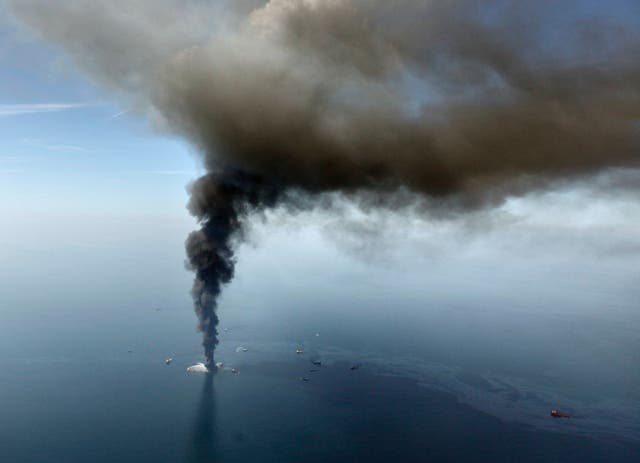 In the years after the 2010 BP oil spill, the number of fish in the deeper parts of the Gulf of Mexico dramatically declined