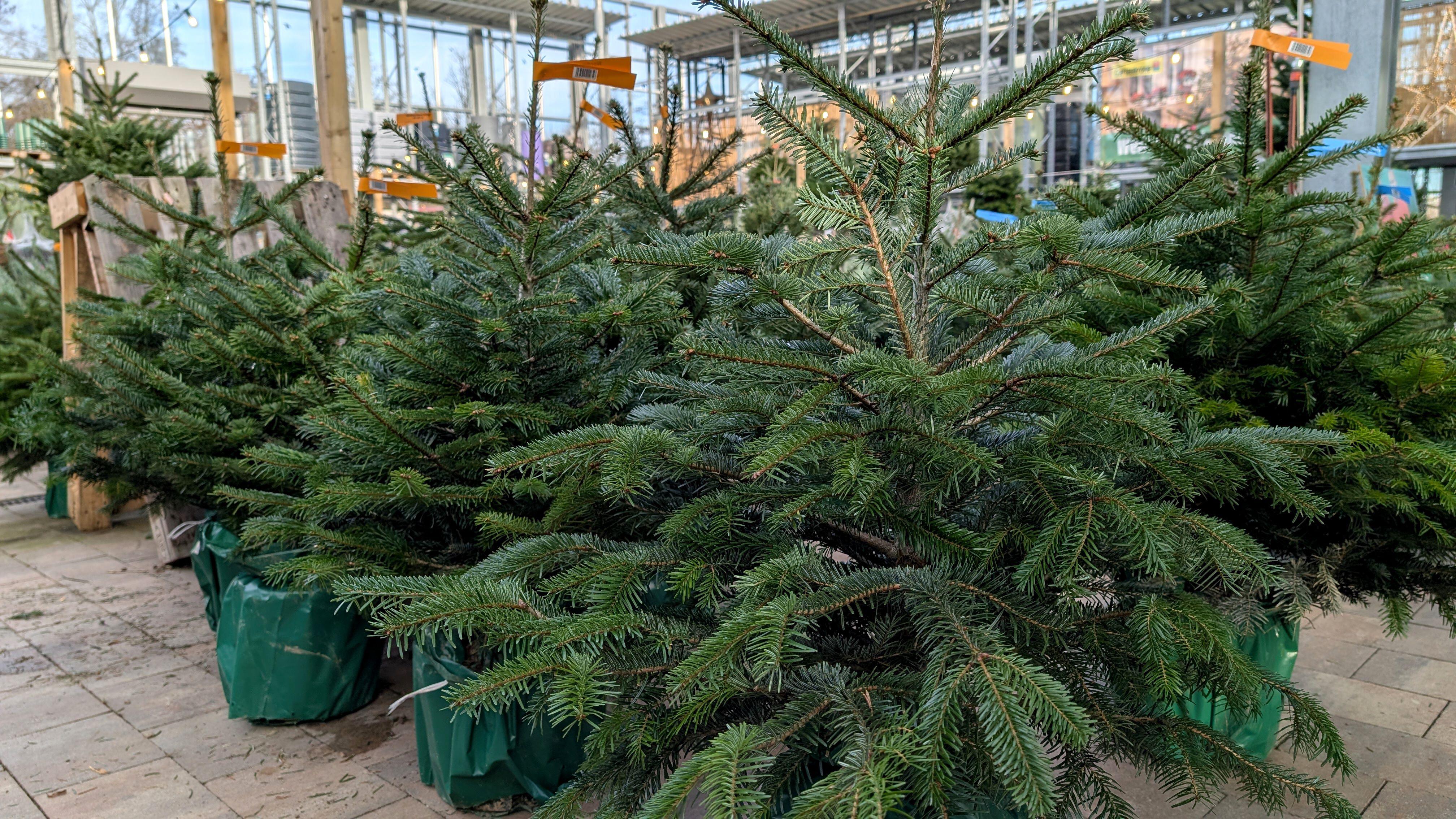 (Alamy/PA)