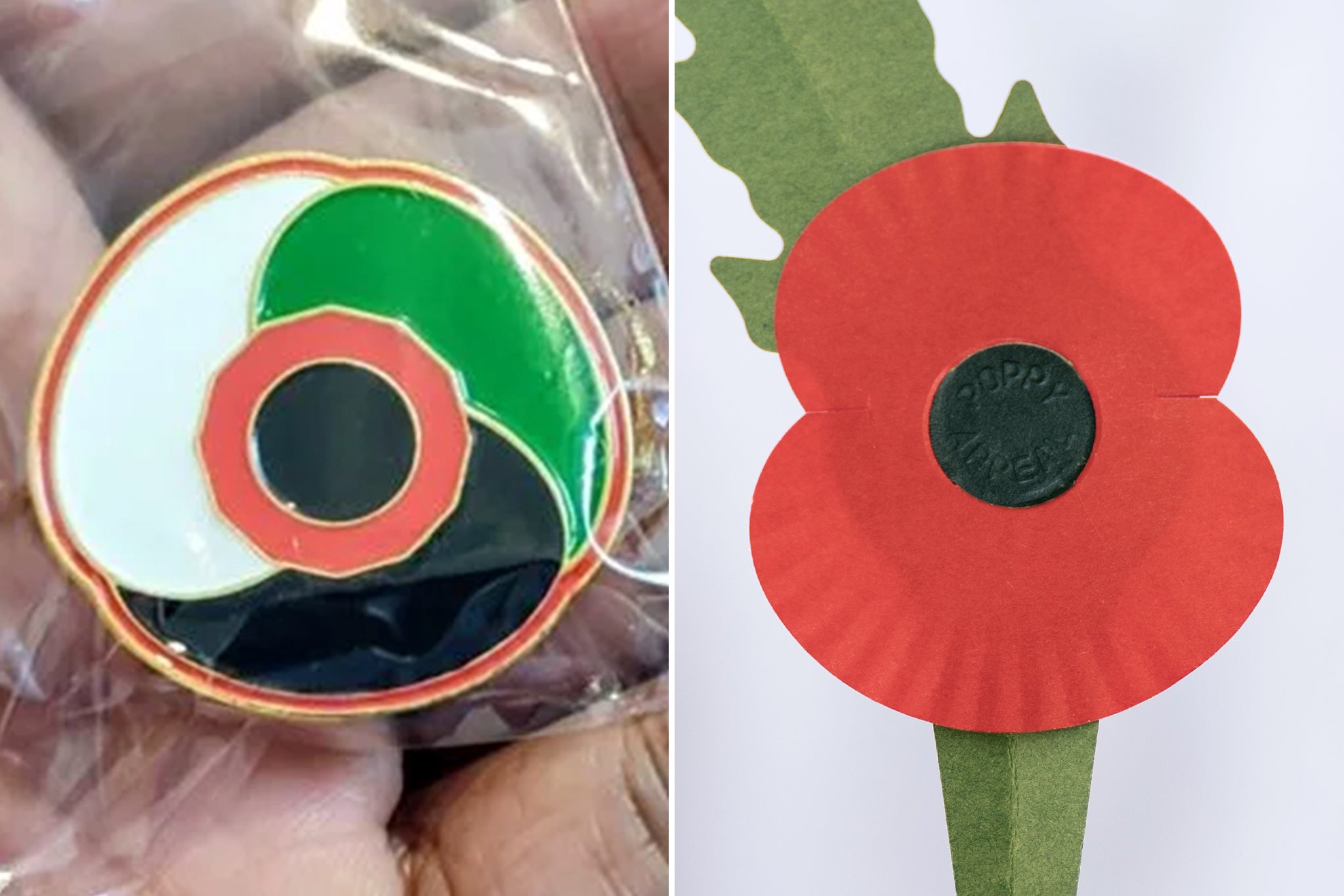 Palestinian poppies are a sign that Britain’s wars are still mainly ...
