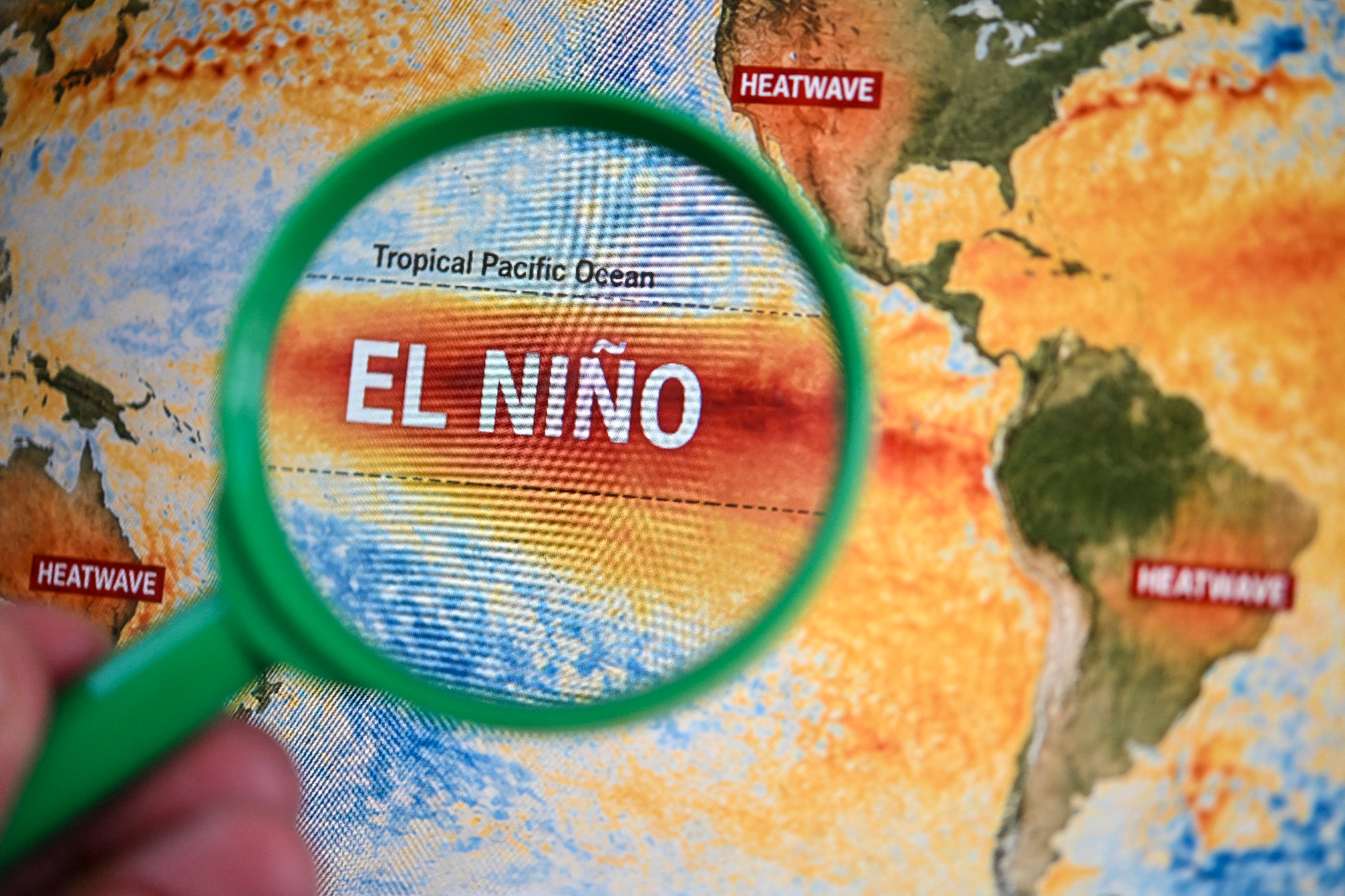 Goods and services the super El Niño could make more expensive – and why