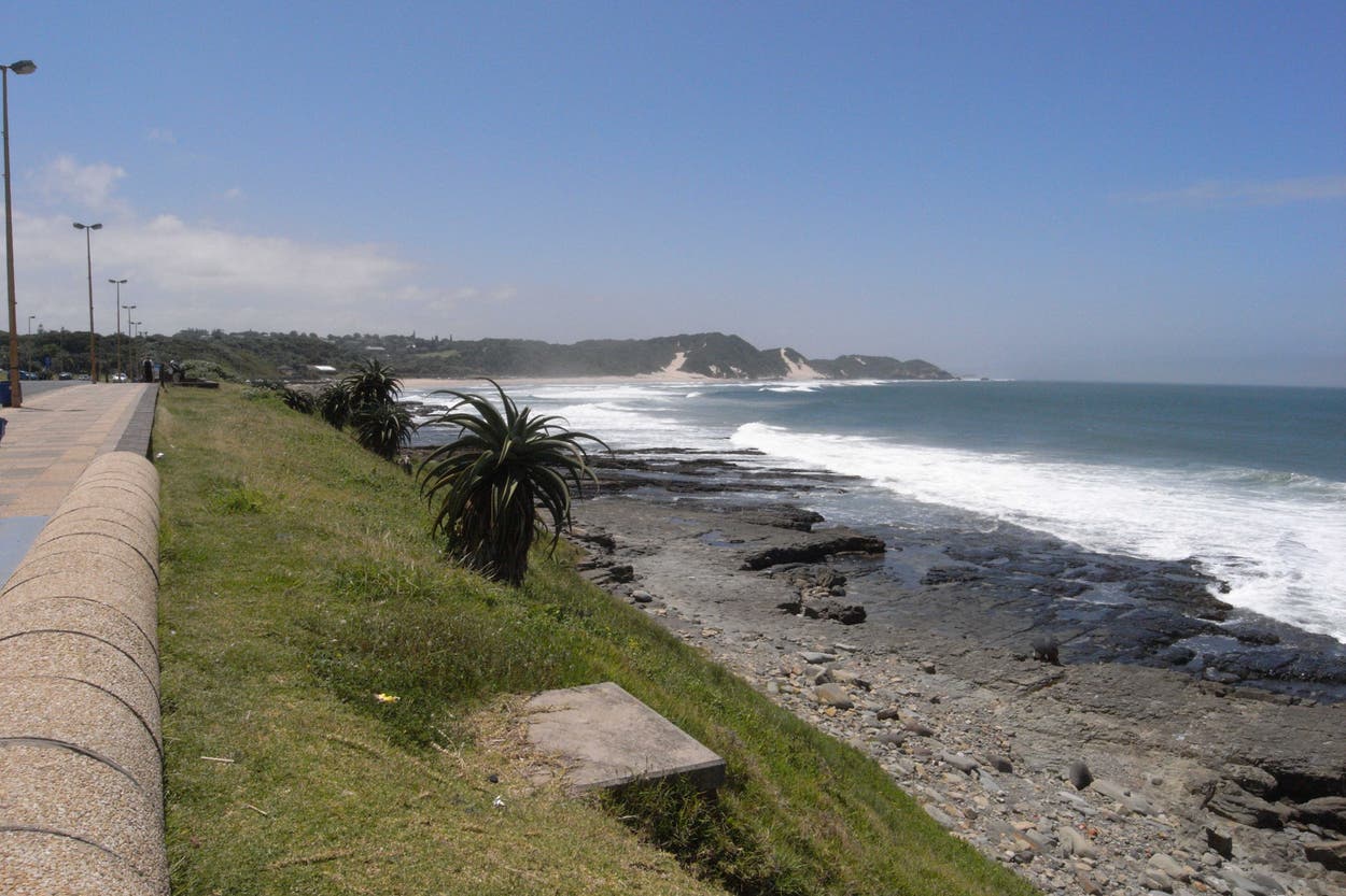 Independent Mp Swimmer killed in shark attack in South Africa | The Independent