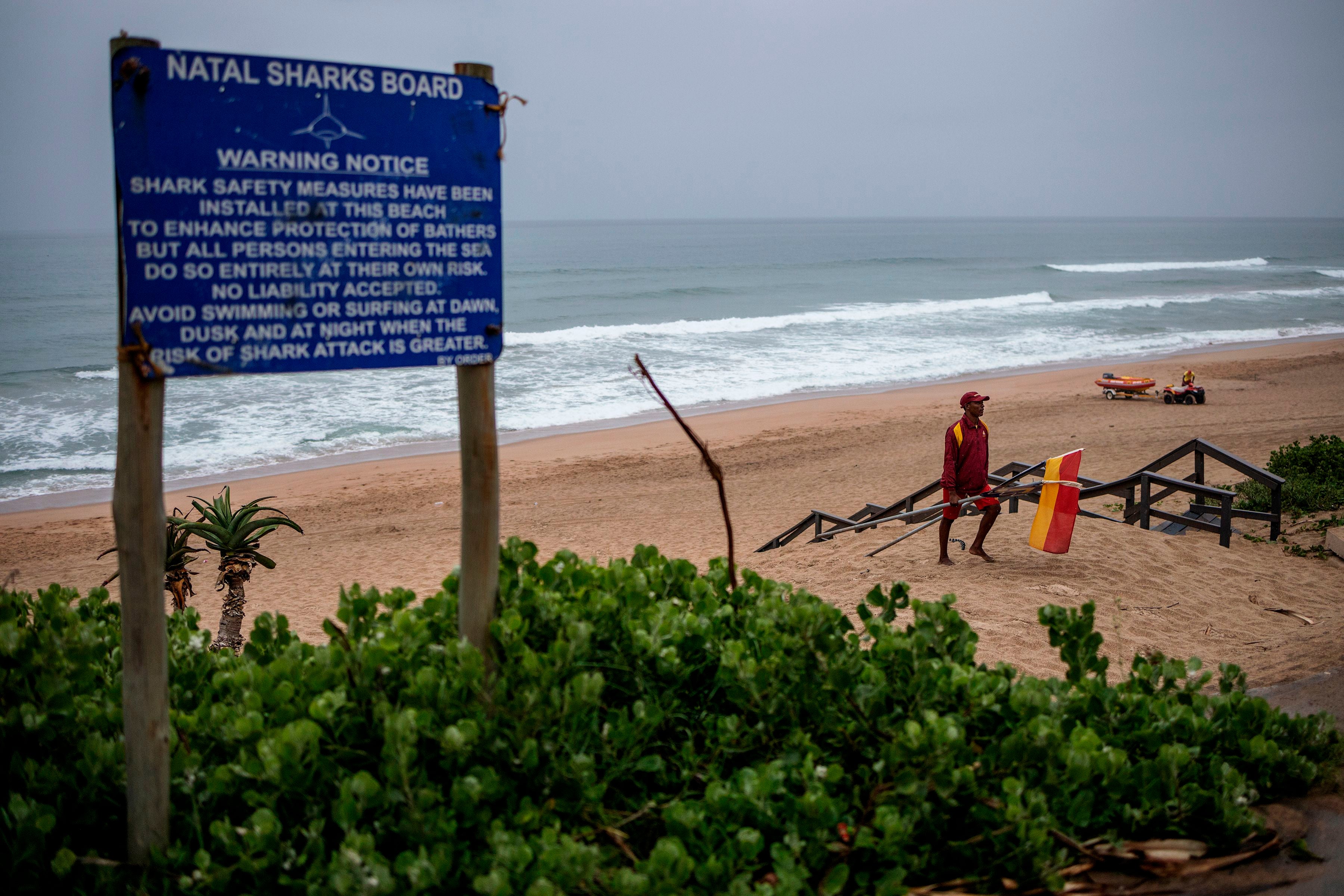 Many beaches in South Africa warn visitors about sharks