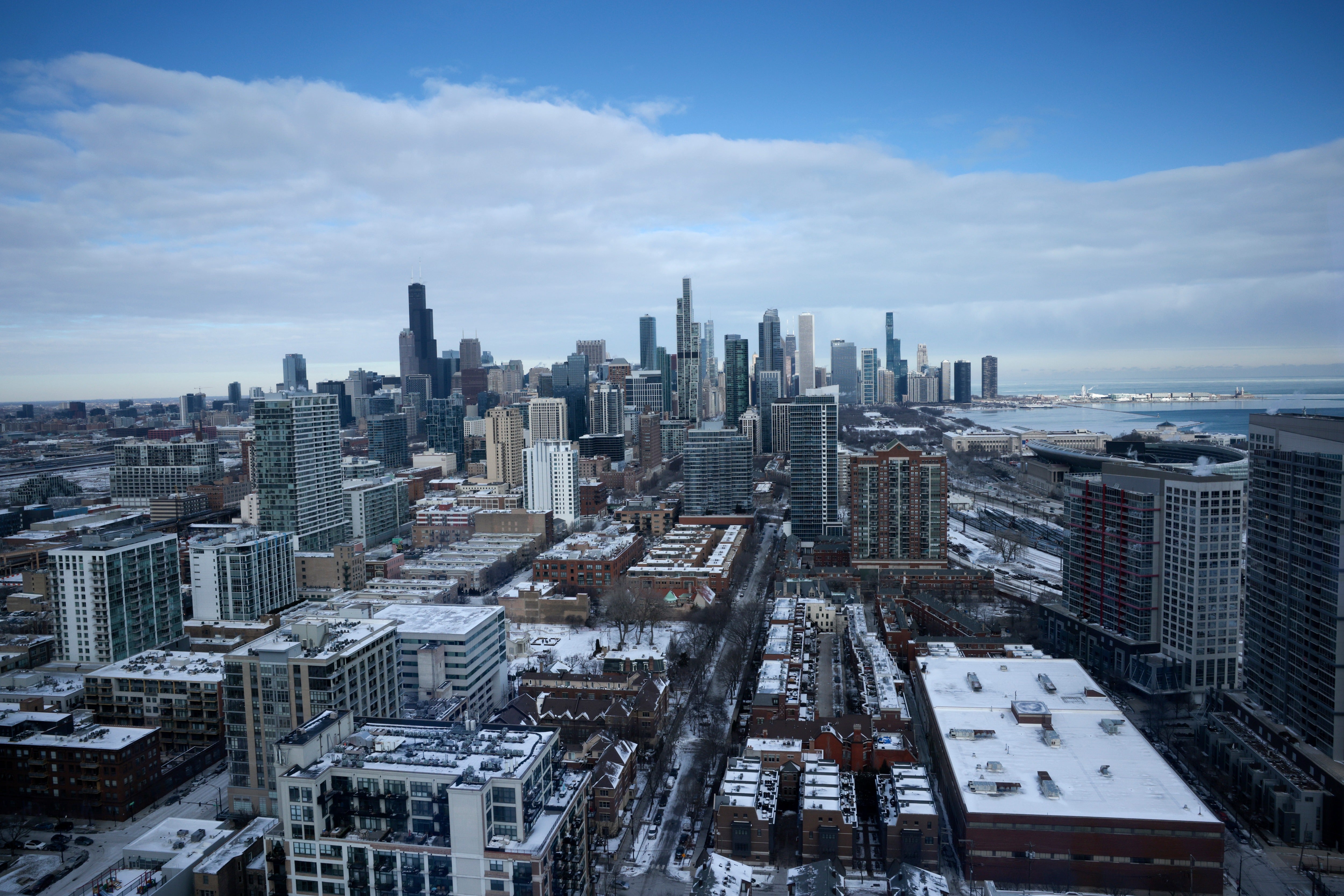 1,000 birds found dead or wounded after slamming into Chicago buildings ...