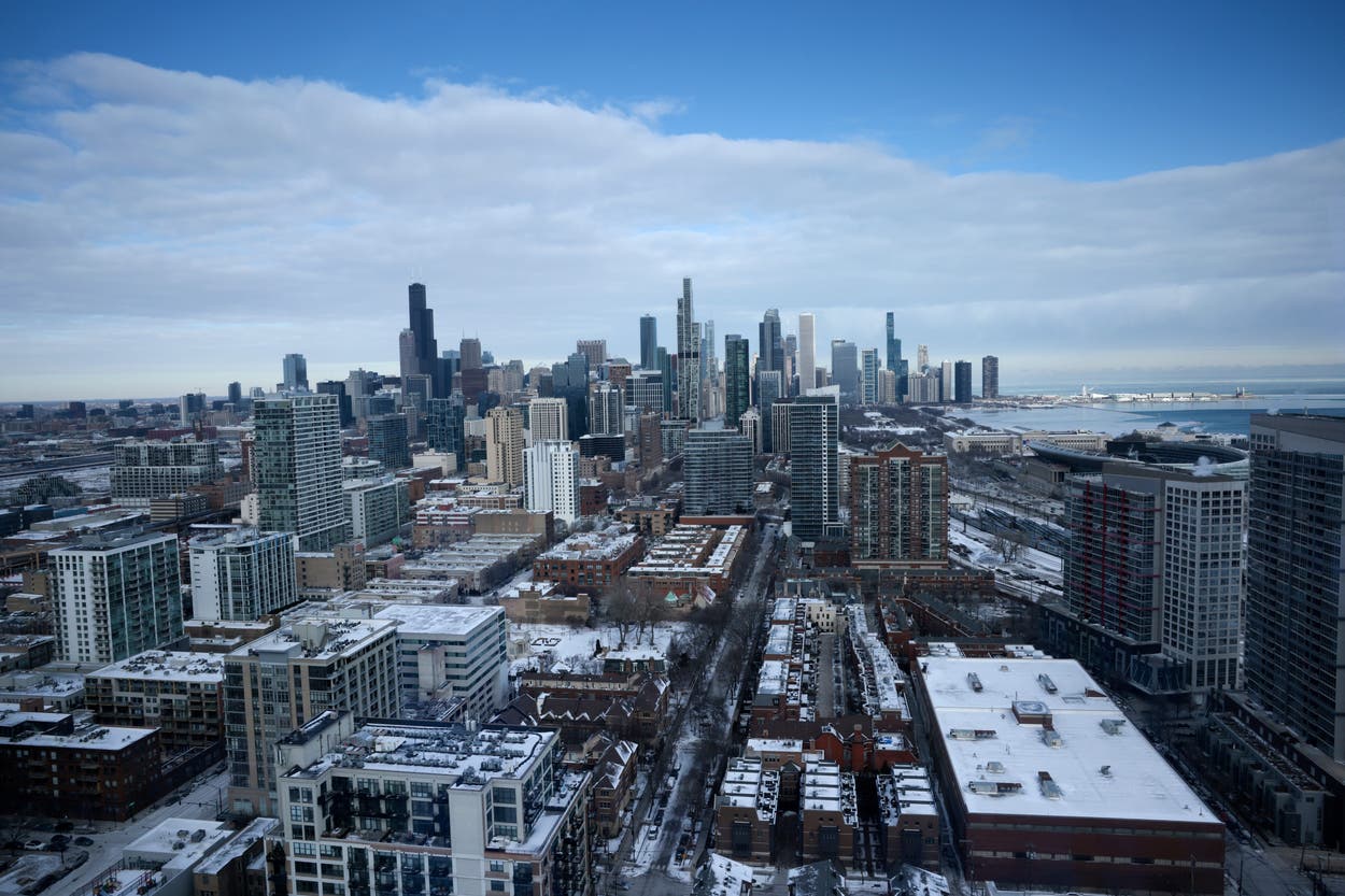 Dead Window 1,000 birds found dead or wounded after slamming into Chicago buildings ...