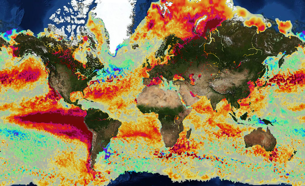Global heat map illustrates areas of sea warming caused by the El Nino on October 18