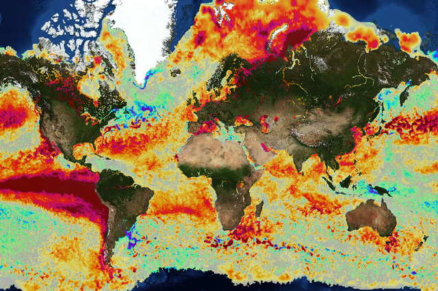 A global heat map illustrates areas of sea warming caused by the El Niño on 18 October