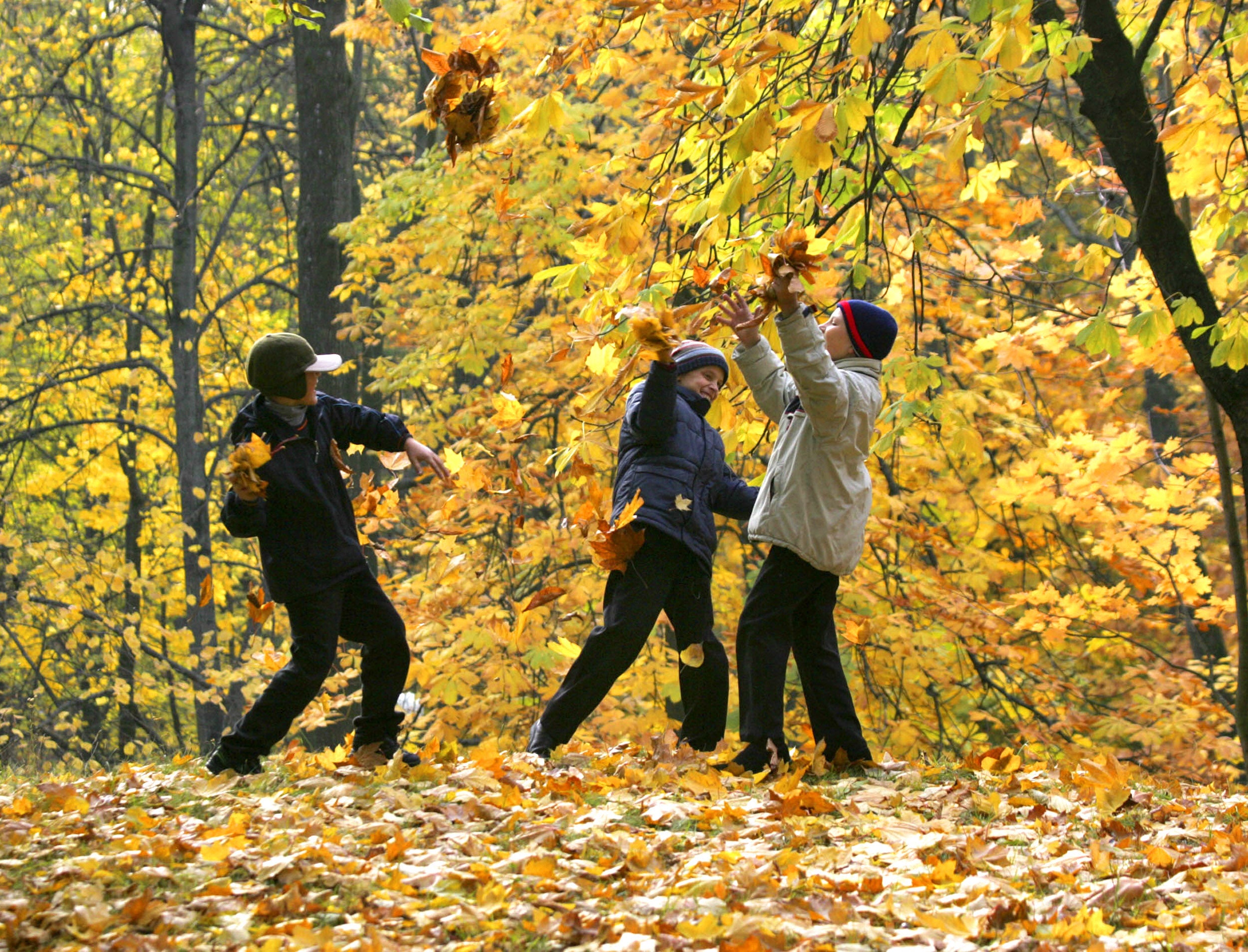 The Farmers’ Almanac forecast for this Thanksgiving. Here’s what to know