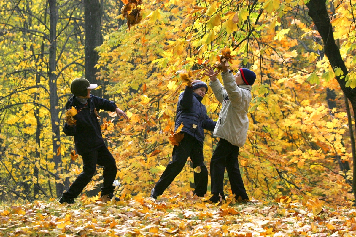 The Farmers’ Almanac forecast for this Thanksgiving  it out. Here’s what to know