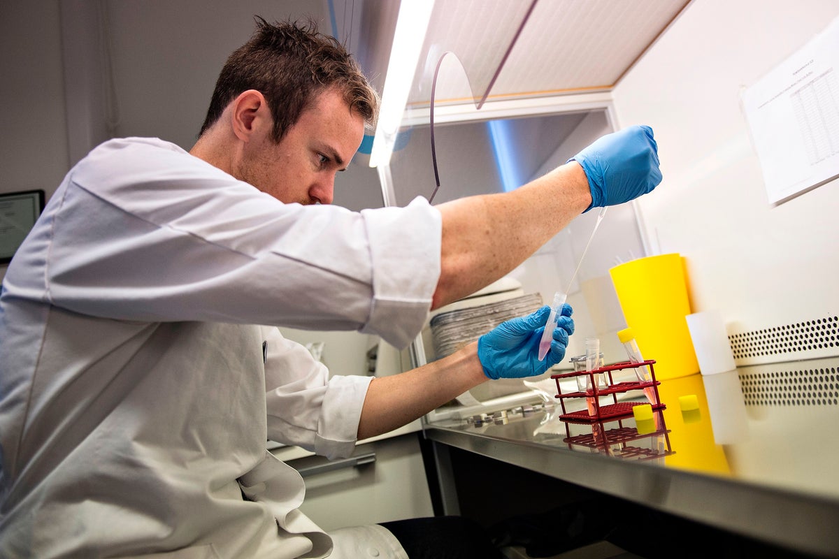 How Denmark became sperm donation capital of the world - and the new hurdle it faces