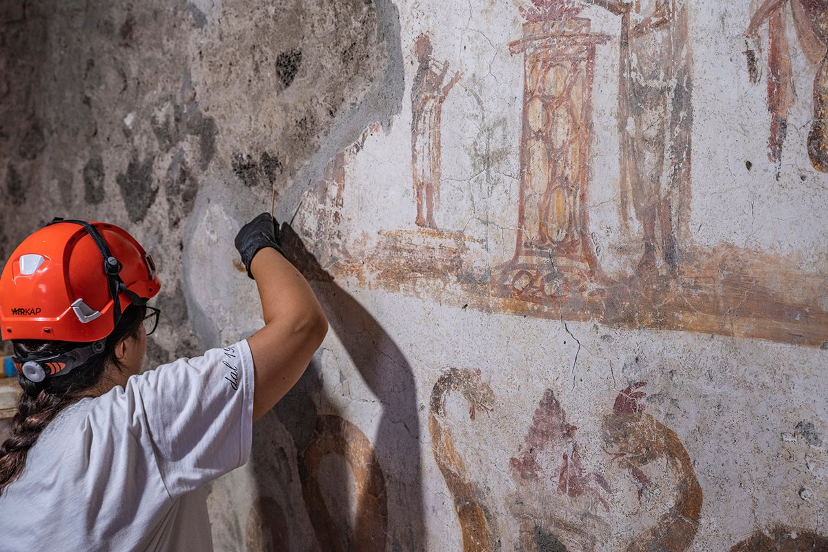 Private sponsor funds restoration of Pompeii’s grandest house
