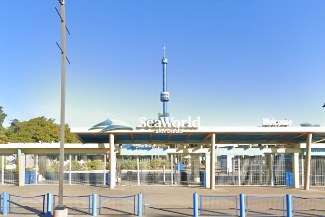 SeaWorld San Diego says that it is closely monitoring the health of the other beluga whales that have been rehomed at the park