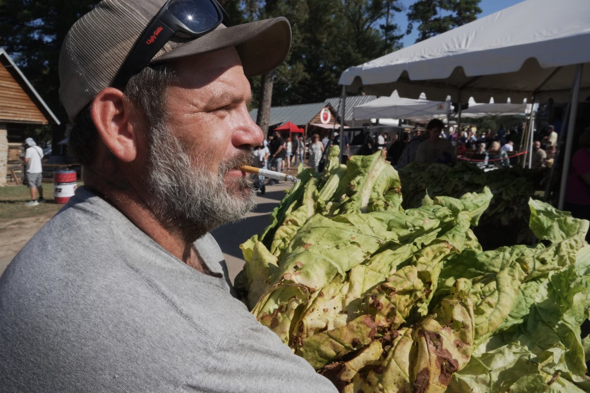 Whether `stringing' or `looping,' tobacco is the tie that binds many North Carolina farm families