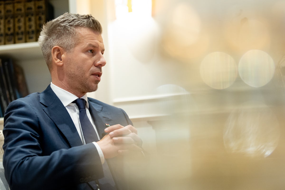 Hungarian PM Péter Magyar vows asset recovery and rule‑of‑law reforms