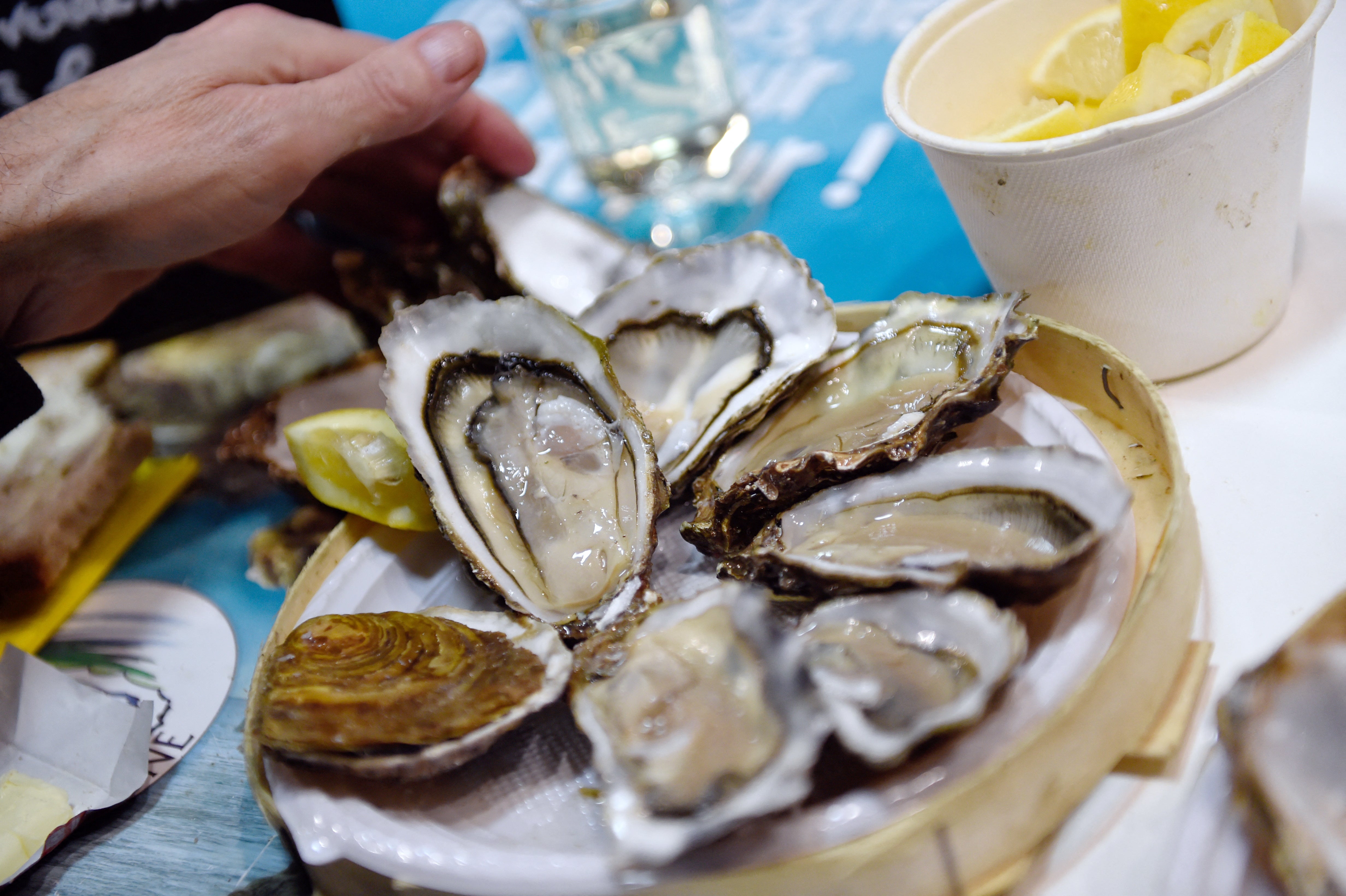 An outbreak of Salmonella tied to Virginia oysters has sent five people to the hospital and sickened nearly two dozen more