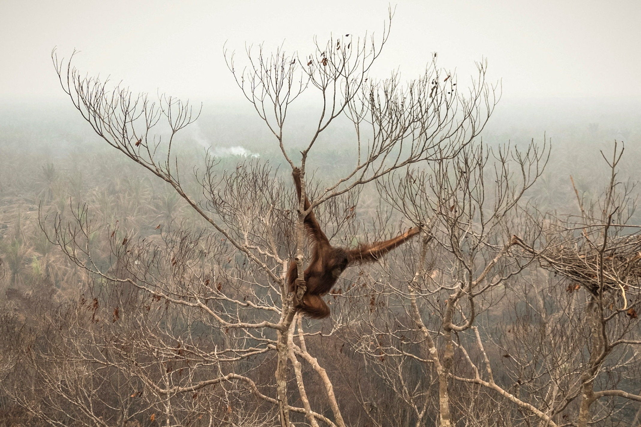 El Niño's weather impacts are already being experienced