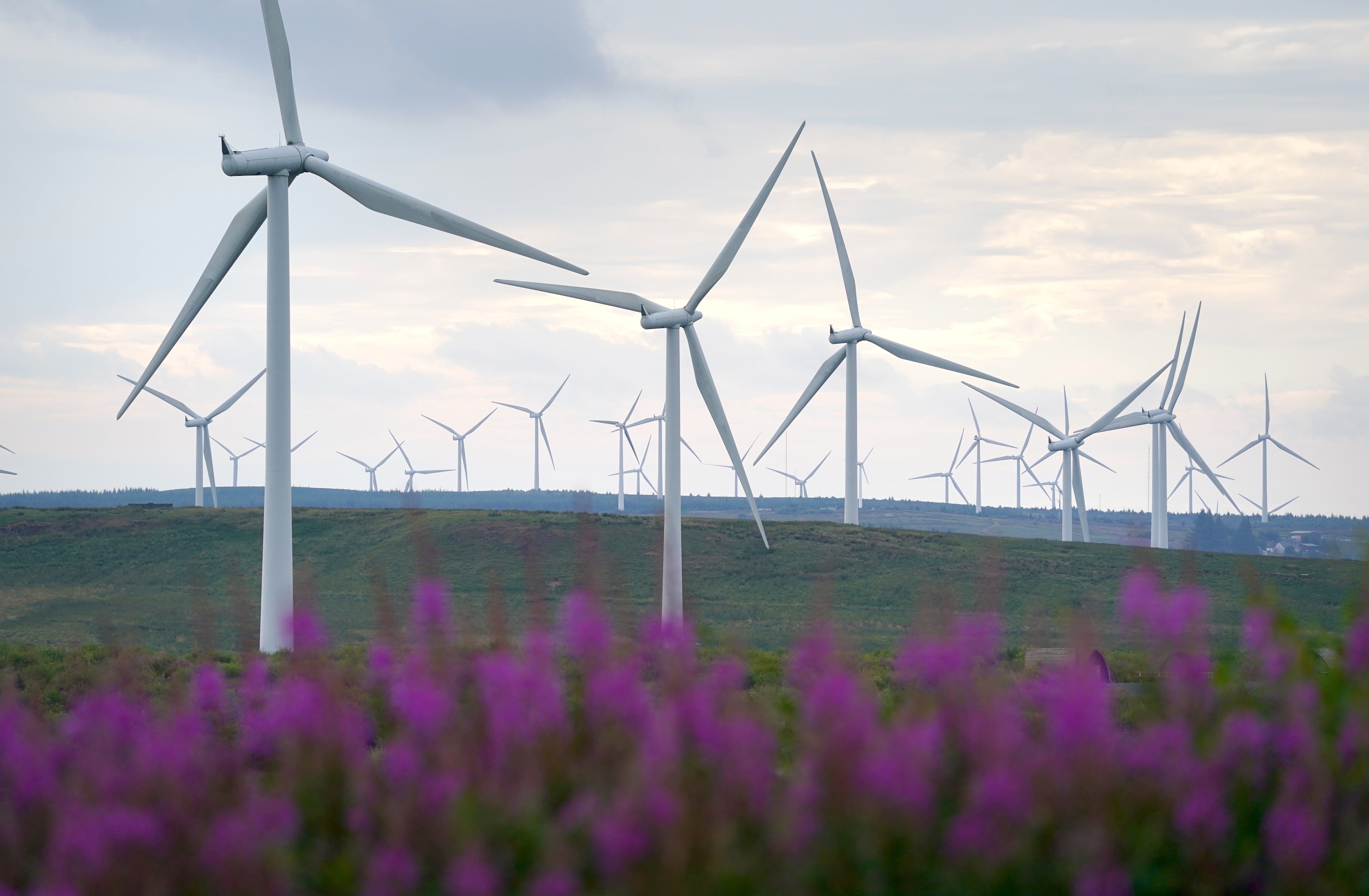 The US president has long railed against ‘windmills’ (Andrew Milligan/PA)