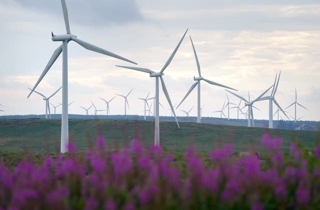 The US president has long railed against ‘windmills’ (Andrew Milligan/PA)