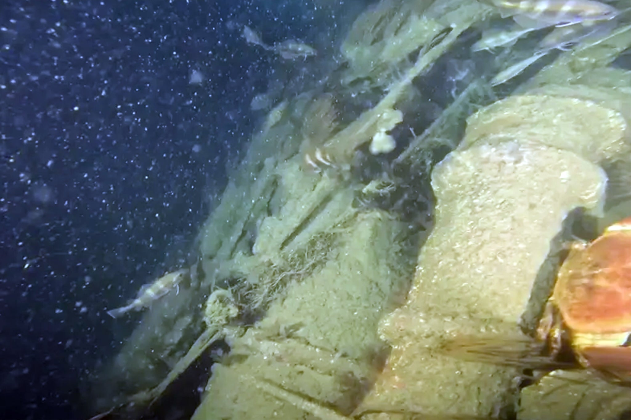 (Deep Sea Diver/Gasperados)
