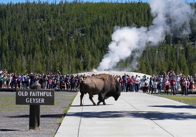 Established in 1872 as the world's first national park, Yellowstone National Park encompasses more than 2.2 million acres across Wyoming, Montana and Idaho