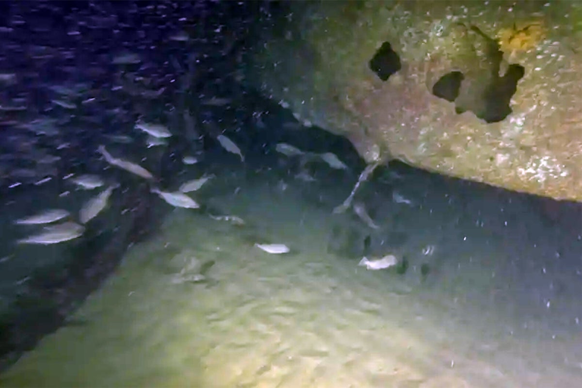 Divers discover missing German wartime submarine – 82 years on