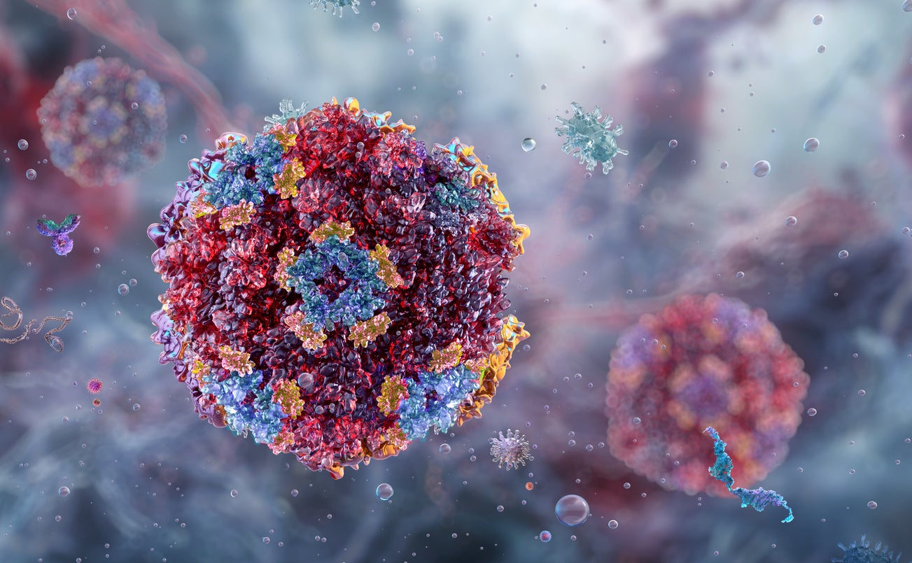 The department confirmed on Wednesday that they consider the outbreak to be over, as there haven’t been any new cases reported since October 13