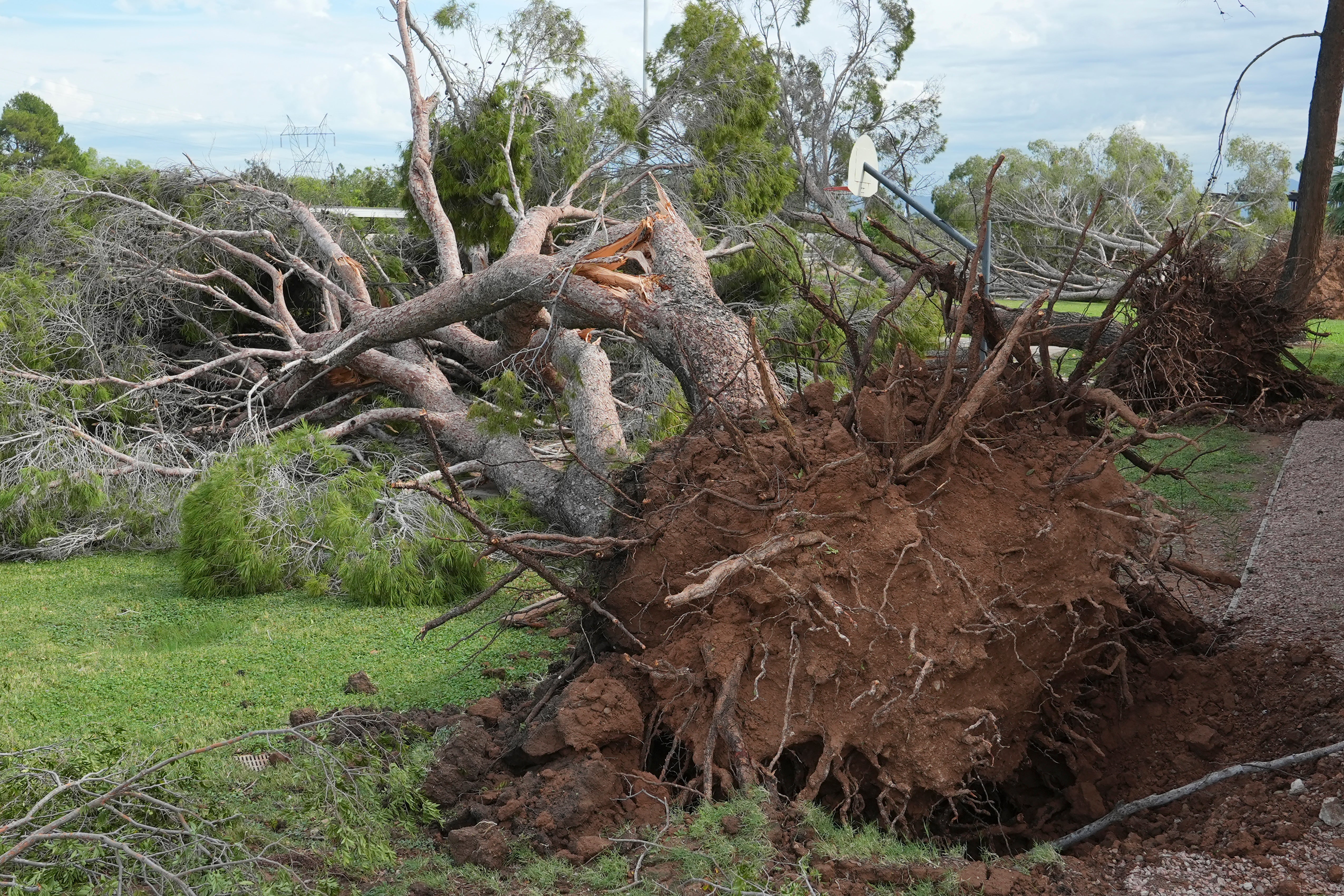 Extreme_Weather_Arizona_36476.jpg?quality=75&height=166&fit=bounds&format=pjpg&crop=16%3A9%2Coffset-y0.5&auto=webp