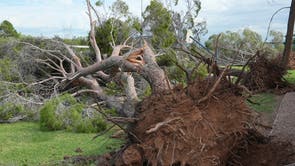 Extreme Weather Arizona