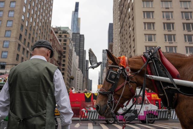 The horse-drawn carriages that have cruised through Central Park for more than 150 years are set to be banished soon from New York City, winding down a tradition beloved by tourists but long opposed by animal welfare activists