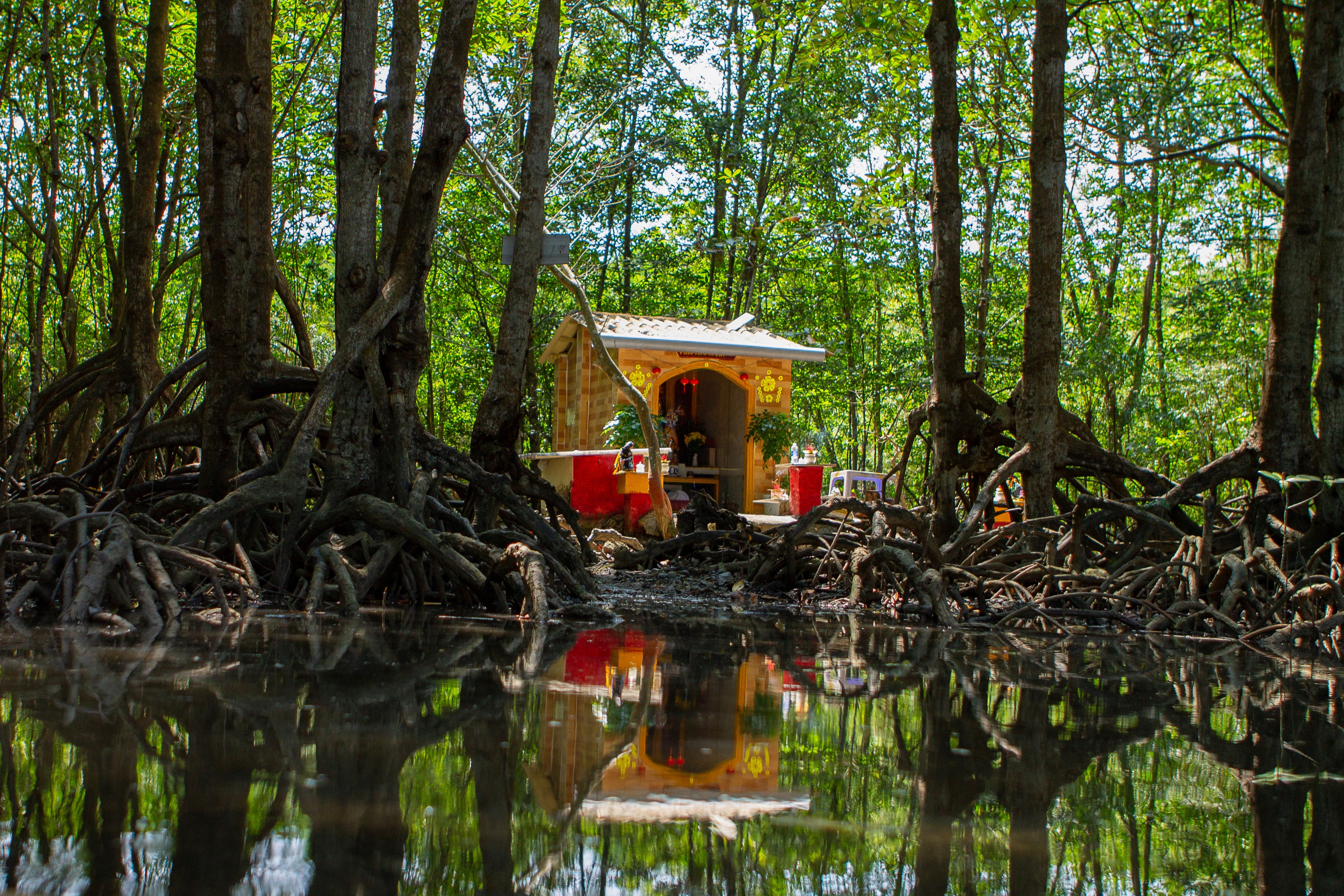 independent.co.uk - Aniruddha Ghosal - Coastal construction projects threaten the mangrove forest that protects Vietnam's biggest city