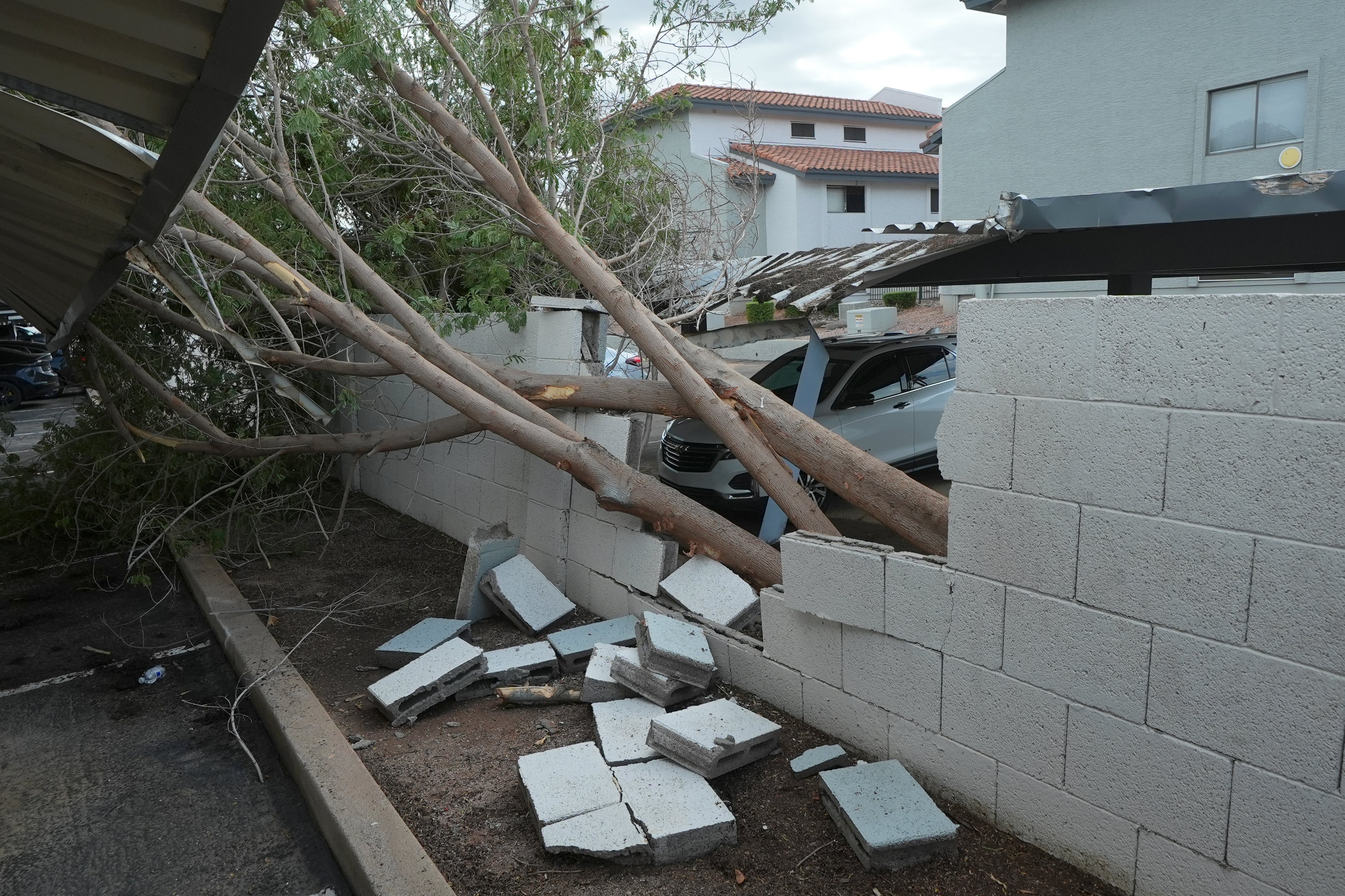Uprooted trees cause damage at a local apartment complex after storms hit the area in Mesa, Arizona