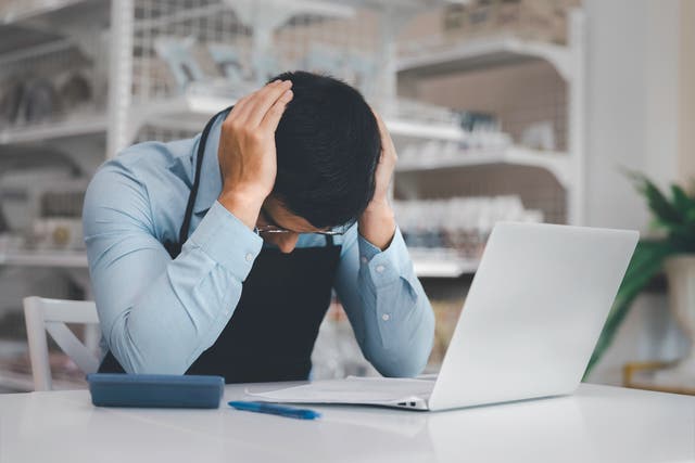 3 in 4 owners are delaying major life decisions