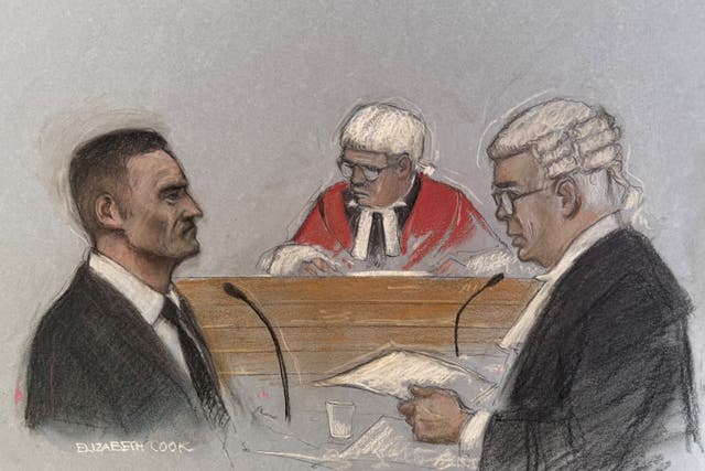 Tommy Robinson said he hired private investigators to find the home addresses of freelance journalist Andrew Young and editor Jacob Dirnhuber and take photographs