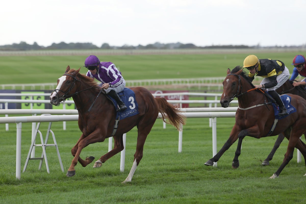 Saturday racing tips: Best bets for Doncaster and Cheltenham